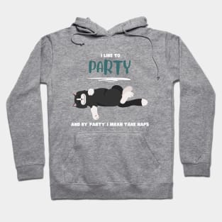 I like to party and by 'party' I mean take naps Hoodie